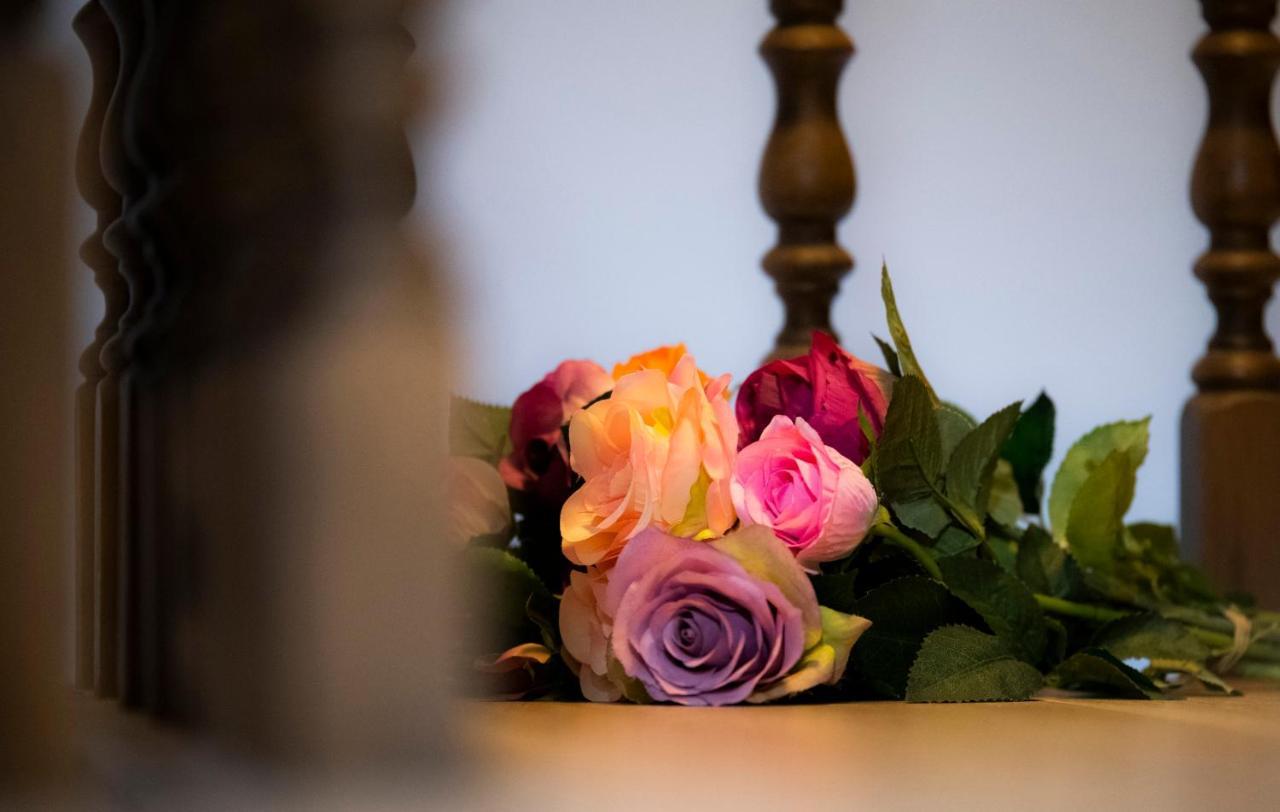 B&B Rozerie Anzegem Dış mekan fotoğraf